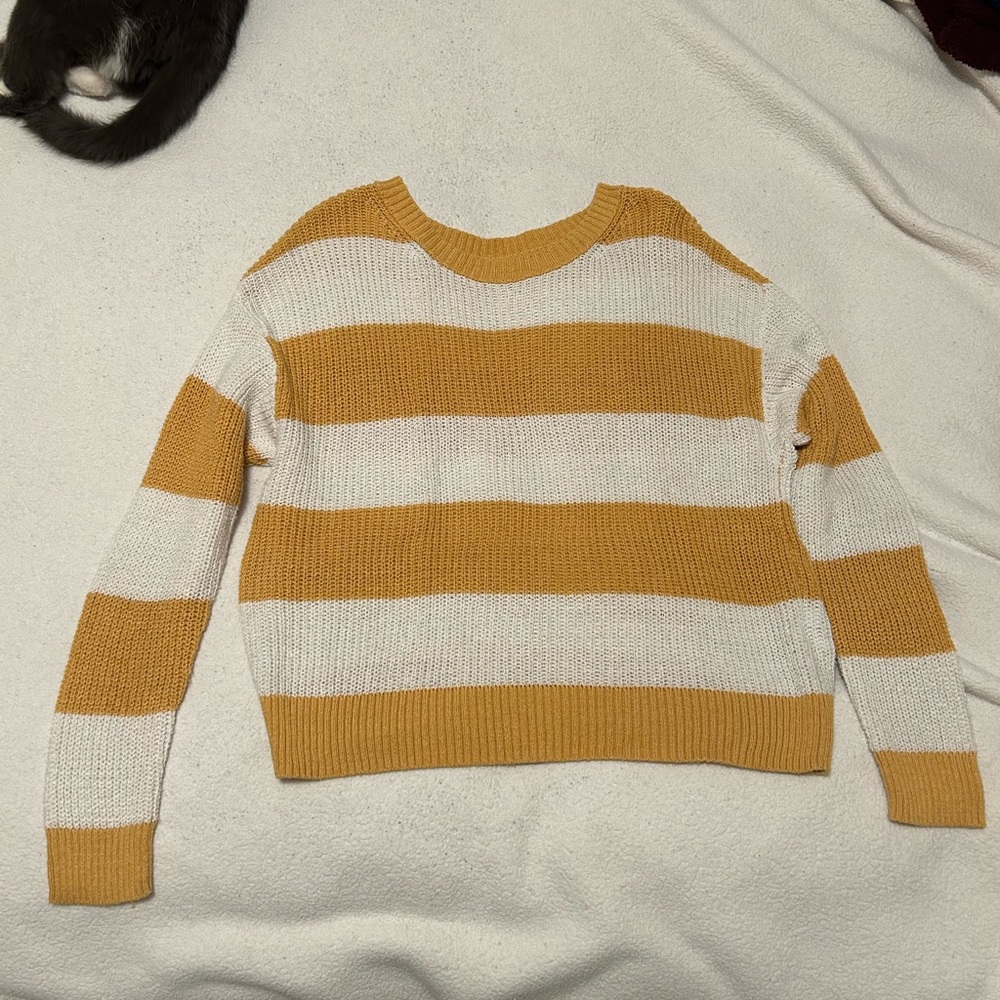 Striped American Eagle Sweater